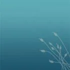 fallback-no-image-13063